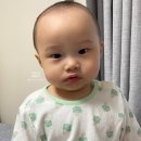 달팽이꿈놀이터 이미지