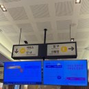 대곡동 나성하와이 앞 | 대구 찜질방 데이트 추천, 엘리바덴 신월성점 솔직 리뷰