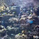 중섭목장 | 제주리뷰 팸투어 제주도 2박3일 여행 코스 후기