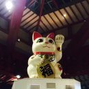 드럭스토어동행약국 이미지