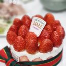 케이스호텔부띠끄 | 수원시청역 맛집 케이크 디아즈케이크부띠끄 연말케이크