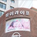 타이라이프
