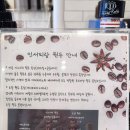 인서피랑 이미지