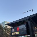 서울화양초등학교 | [광진구 / 어린이대공원 / 건대 왁싱샵] 영뷰티 가슴, 배 왁싱 제모 솔직 후기