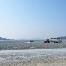 목섬 Daum카페
