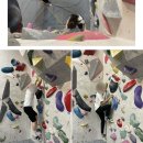 무실스포츠 | 원주 클라이밍 실내데이트 고고클라이밍 무실단구점 체험후기