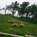 소리공원 이미지