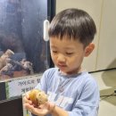곤충학교 | 울산 유에코 생물대탐험, 지루할 틈 없는 곤충박람회 주말 오픈런 후기