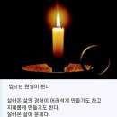 자연이치