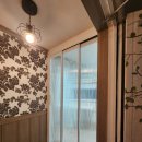 신방한라동백@ 3 이미지