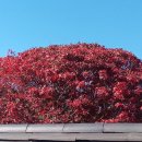 세븐일레븐(김해내동공원점) 이미지