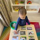 유아놀이영어 이미지