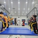 하단태권도체육관 이미지