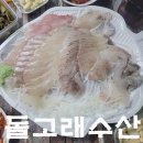 돌고래홀딩스 | 수원 돌고래수산. 포장 또또또 간집.