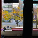 군자뮤직복싱다이어트 이미지