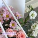 아이비플라워 앞 이미지