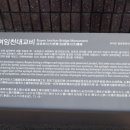 임천대교비 네이버블로그