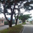 원당리농장 이미지