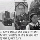 신라 태양광발전소 이미지