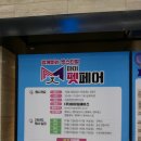 2023 수원 마이펫페어 10월 21 토요일 후기