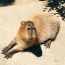 바이오파크 이미지