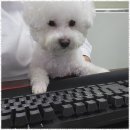 구로-고척-구로-2984 이미지