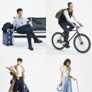 진컬렉션 이미지