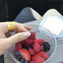 Pressed dr | [내돈내산] 미국 홀푸드 마켓 꿀템 소개🥕 (5탄)