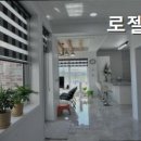 로젤 147 네이버블로그