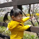 삼평중학교 옆 이미지