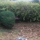 길냥이와 함께하는 이미지