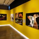 북서울꿈의숲(상상톡톡미술관) 이미지