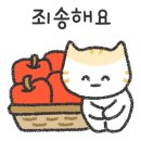 고양이묭실 이미지