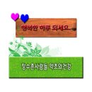 다인약초