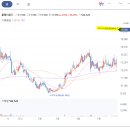 주식회사 와이앤케이 이미지