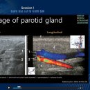 한국내과 이미지