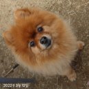 메이플 동물의료센터 이미지