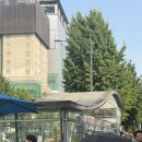 누리미용실 - 동구 초량로 80 | [연신내미용실] 연신내 준오헤어 누리쌤 중단발 씨컬펌 솔직 후기 / 카리나 중단발펌..
