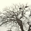 동진농장 이미지