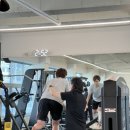 포커스바디