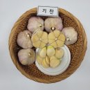 농업회사법인 통 주식회사 이미지