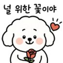 레츠개릿 이미지