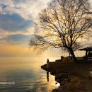 나린농장 이미지