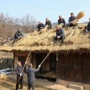 의령 상정리 조씨고가 | [6시 내고향] 2025년의 마지막 날, 황금빛 지붕을 엮다! 경남 의령 '이엉 잇기' 현장 (창녕 조씨 고가)