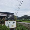 도곡1-111 | 경북 상주 커피농원 봄봄 방문후기