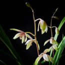 넓은세상 이미지