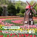 농경3농장 | 부천자연생태공원 무릉도원수목원 튤립 실시간 개화 평일 방문 (+주차장, 애견동반불가)