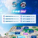 아인스포츠 | 7월 여름 축제 [ 시흥 거북섬 WSL 서핑대회 & 써머비트 DJ 페스티벌 ] 총정리 및 오닐 할인 꿀정보