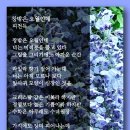 창밖은 오월인데 - 피천득 이미지