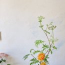 동양꽃꽂이 이미지